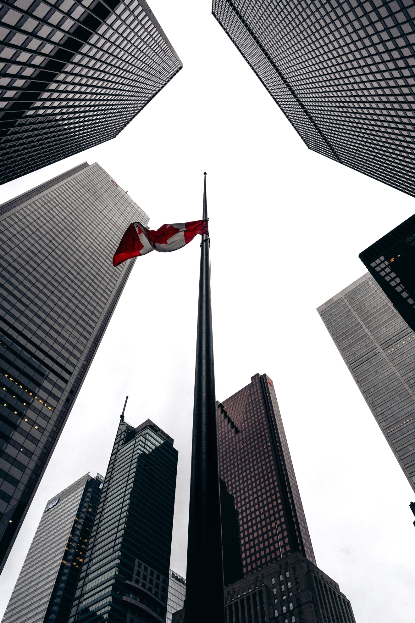 Canadá Volvió a Hacer Aburrida la Renovación del Pasaporte (Y Eso Es Bueno)