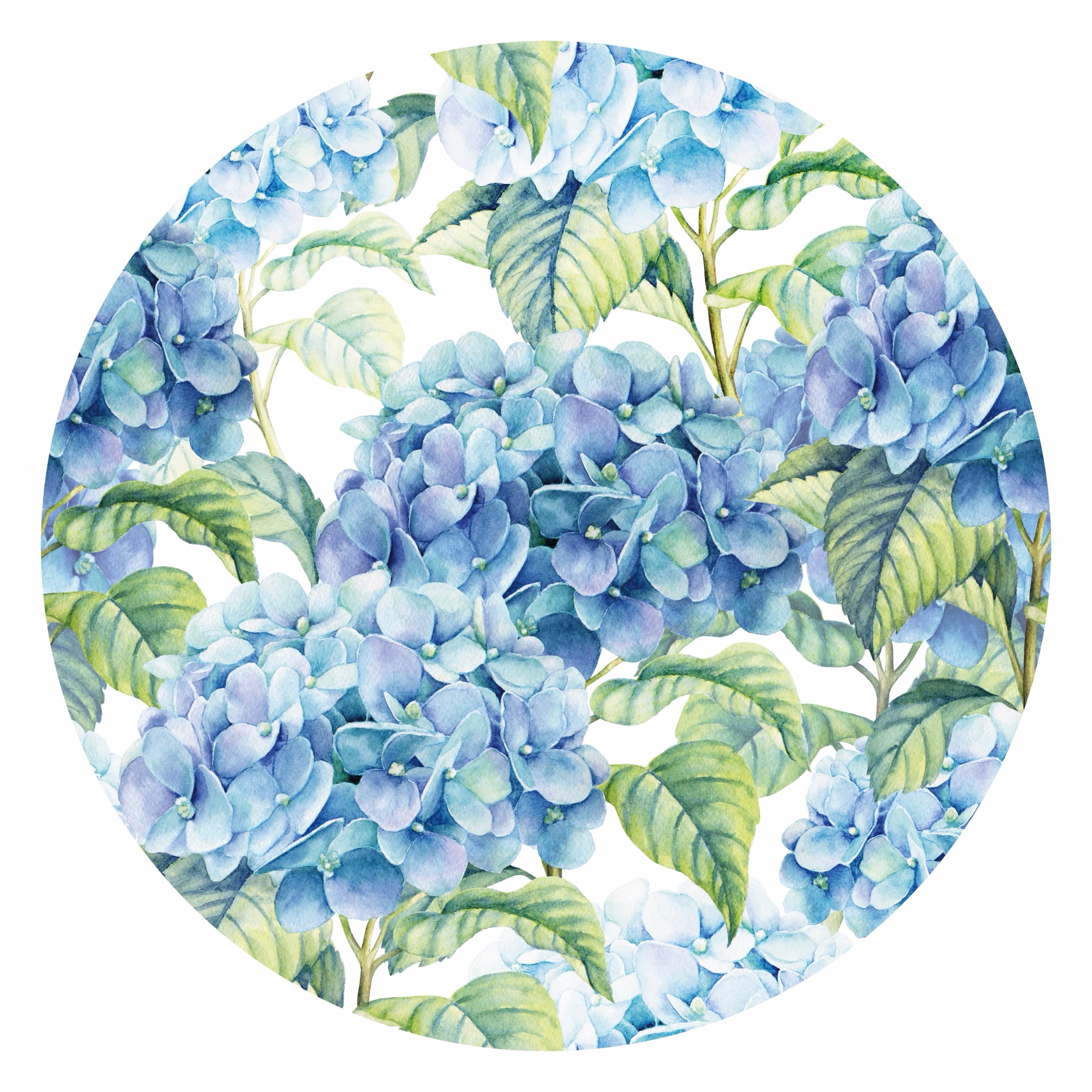Florales 03