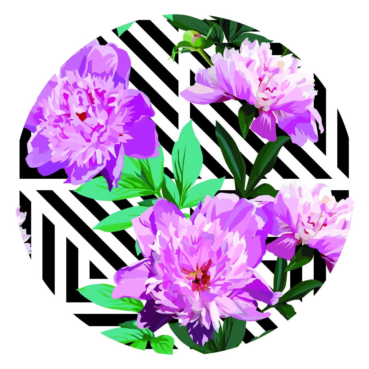 Florales 25