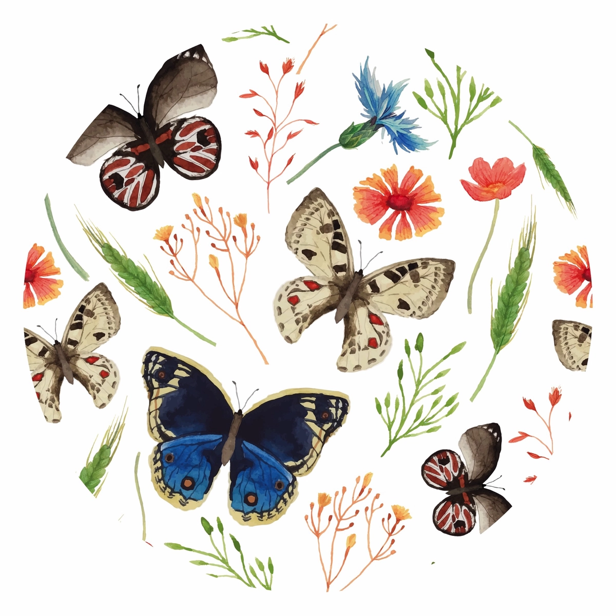 Florales 34