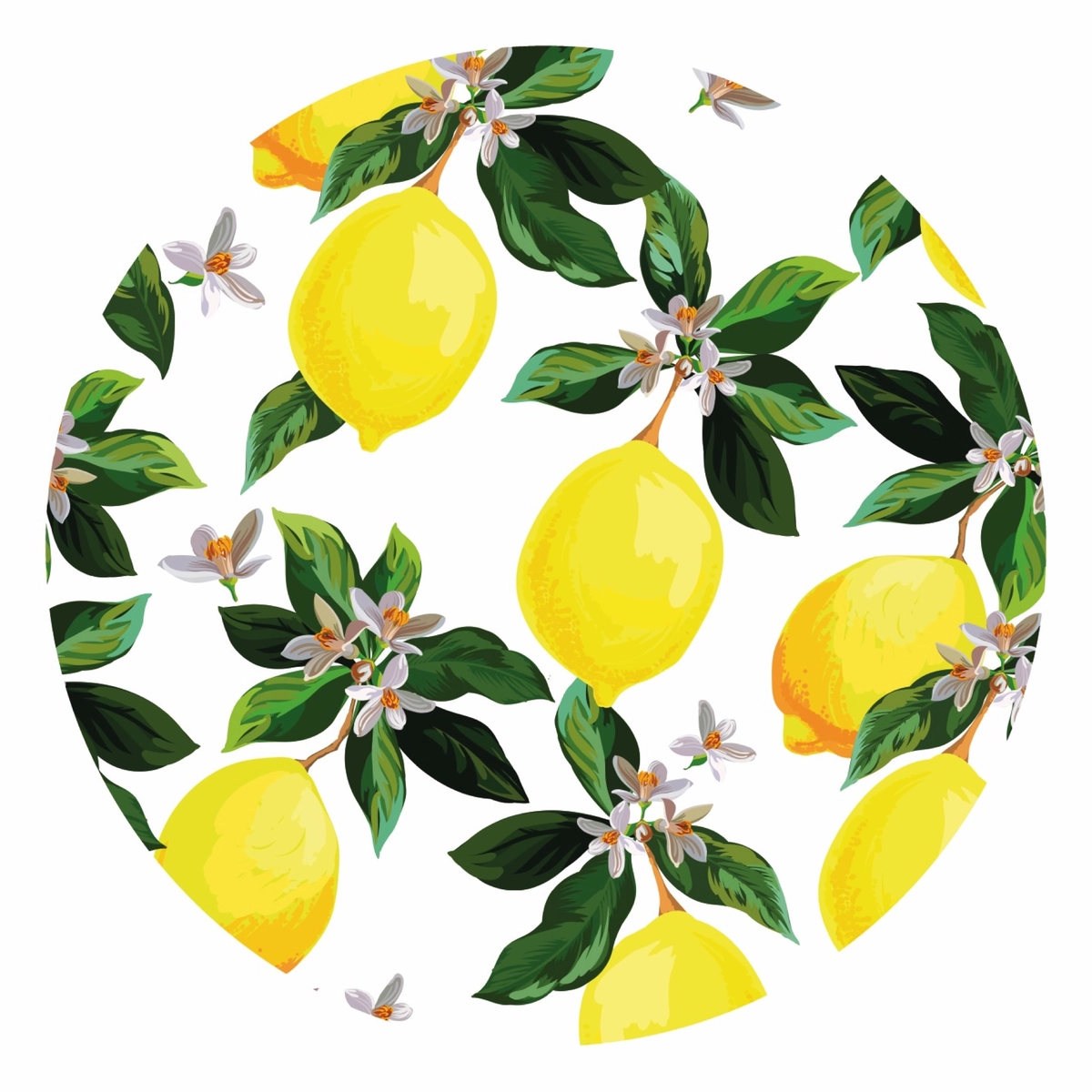Limones 04