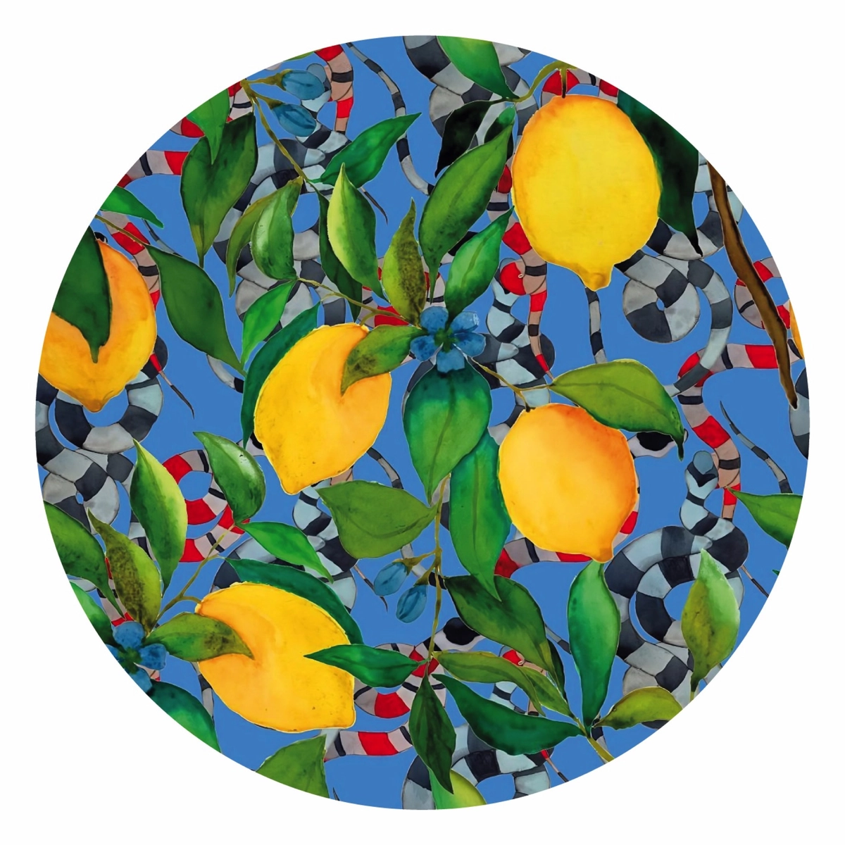 Limones 05