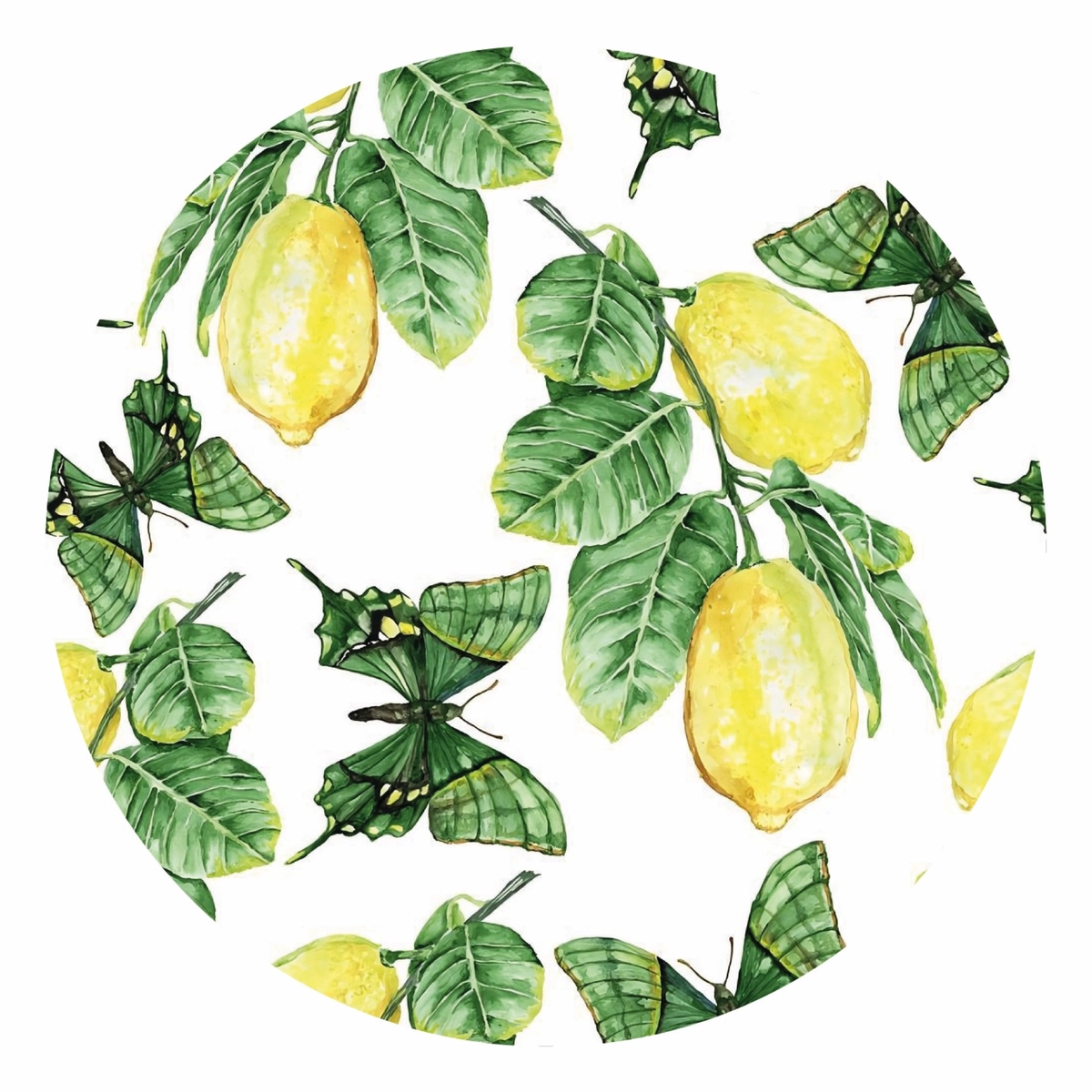Limones 06