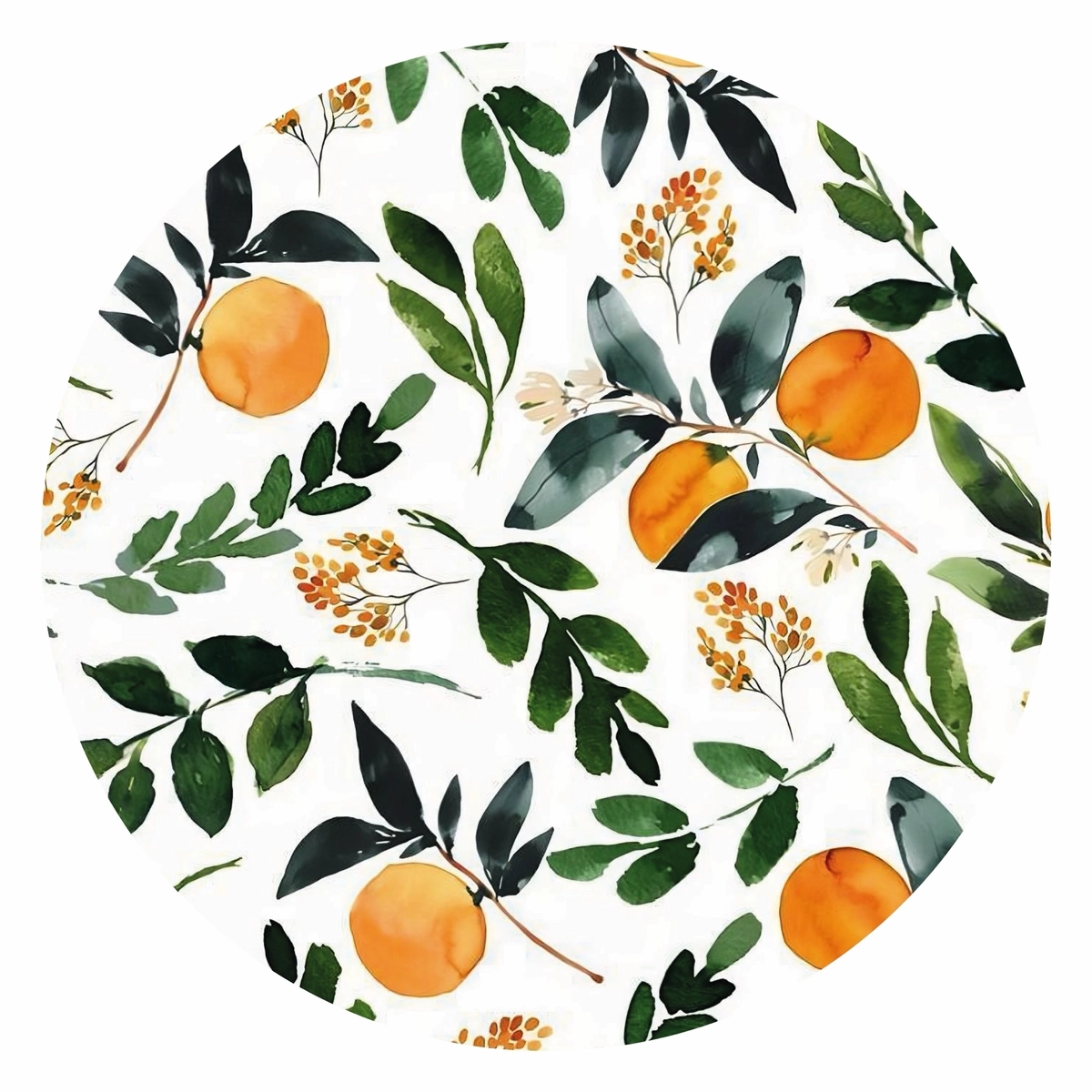 Bajo platos Acrílico — Set de 6 — UNA vista | L20 + Sin reverso
